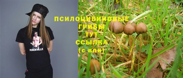 стафф Беломорск