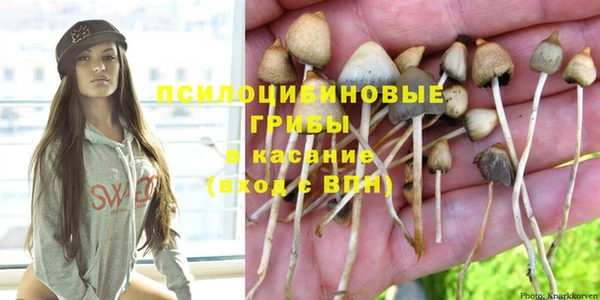 стафф Беломорск