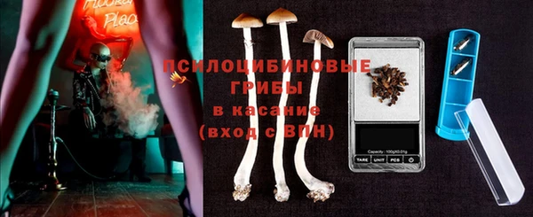 стафф Беломорск