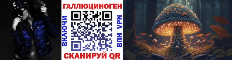 Галлюциногенные грибы Cubensis  blacksprut вход  Светлогорск 