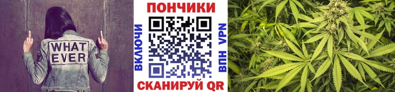наркота  Светлогорск  Каннабис OG Kush 